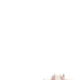 스트리머 로고