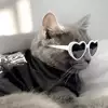 [Pounce]