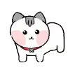 진솔
