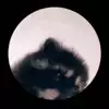 뭘츠다바요