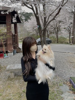 스트리머 로고