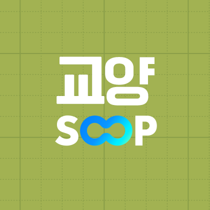 스트리머 로고