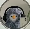 ipdaom