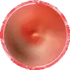 술마햄
