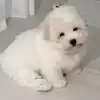 무더지