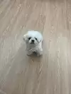 찌훈