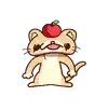 애플고양이