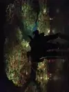 베일임다