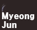 스트리머 로고