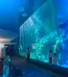 ★주인공★
