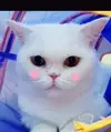 ♥수이