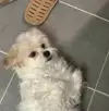 우제로