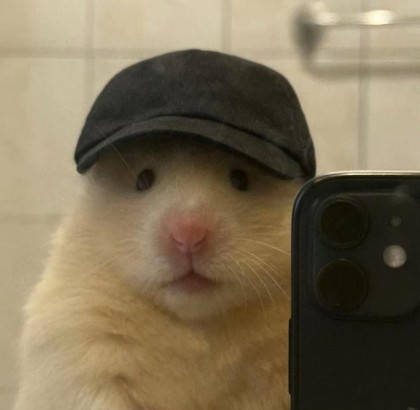 스트리머 로고