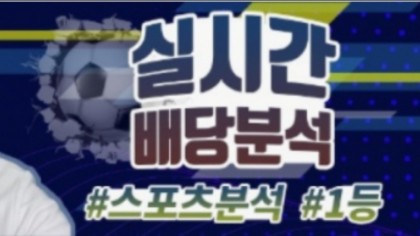 스트리머 로고