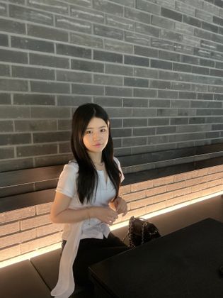 스트리머 로고