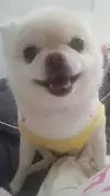 티모팡♥