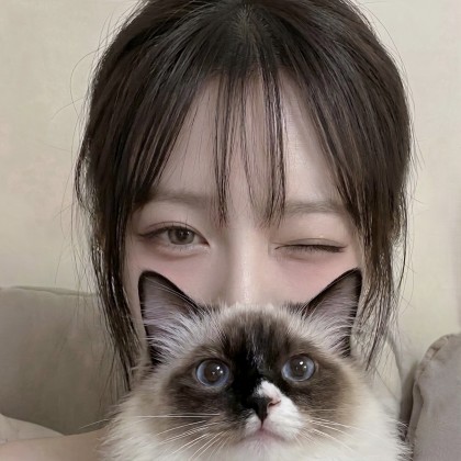 스트리머 로고