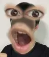 첼식이