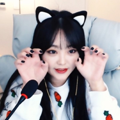 스트리머 로고