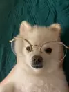 bj중구이