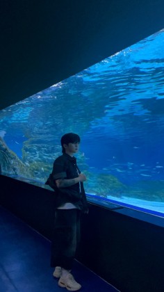 스트리머 로고
