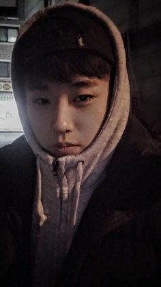 스트리머 로고
