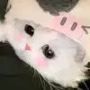 qwin