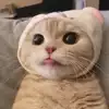 종형_