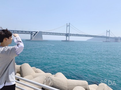 스트리머 로고