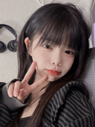 스트리머 로고