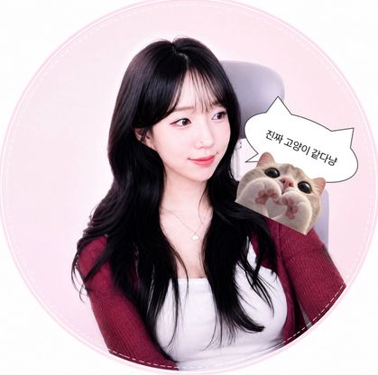 스트리머 로고