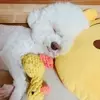 이짱구우._.