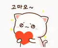 ♥춘식이♥