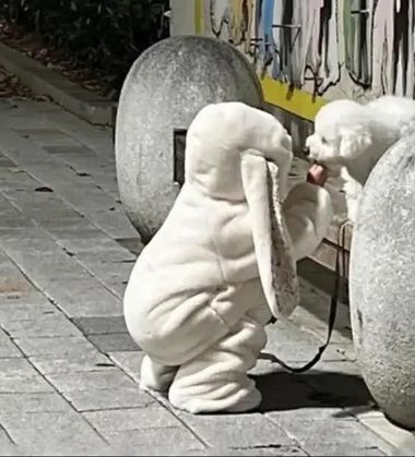 스트리머 로고