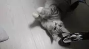 K.H:희망