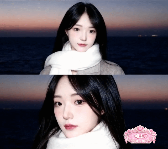 스트리머 로고