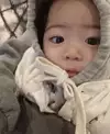 솝잉