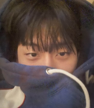 스트리머 로고