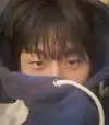 애니안