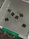 환경+