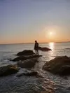 정글개o