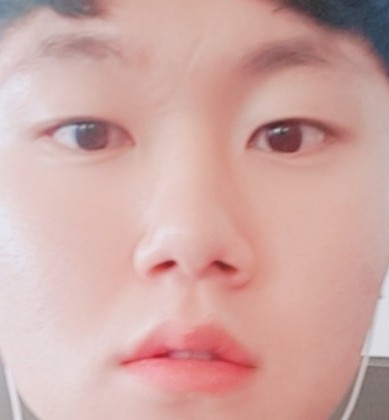 스트리머 로고