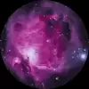 audi꼴뚜기