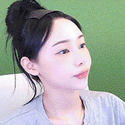 스트리머 로고