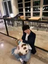 BJ후잉