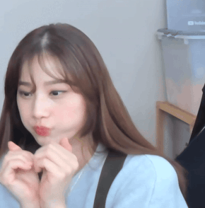 스트리머 로고