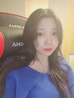 스트리머 로고