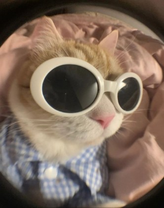 스트리머 로고