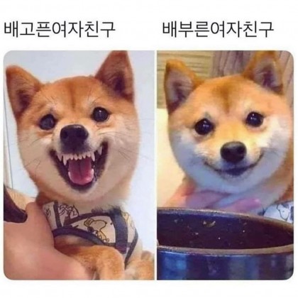 스트리머 로고