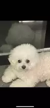 더워